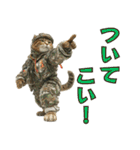 陸上自衛隊の猫（個別スタンプ：19）