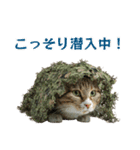 陸上自衛隊の猫（個別スタンプ：22）