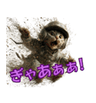 陸上自衛隊の猫（個別スタンプ：28）