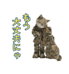陸上自衛隊の猫（個別スタンプ：38）
