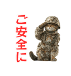 陸上自衛隊の猫（個別スタンプ：40）