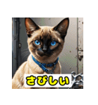 働き者の工具猫（個別スタンプ：9）