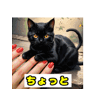 働き者の工具猫（個別スタンプ：22）