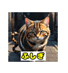 働き者の工具猫（個別スタンプ：24）