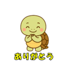 かわいい亀の会話とイベント（個別スタンプ：8）