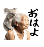 コアラとばばぁ  (毎日便利に使える返信)（個別スタンプ：1）