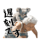 コアラとばばぁ  (毎日便利に使える返信)（個別スタンプ：2）