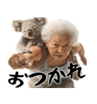 コアラとばばぁ  (毎日便利に使える返信)（個別スタンプ：7）