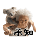 コアラとばばぁ  (毎日便利に使える返信)（個別スタンプ：11）