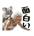 コアラとばばぁ  (毎日便利に使える返信)（個別スタンプ：12）