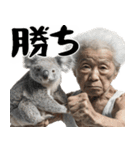 コアラとばばぁ  (毎日便利に使える返信)（個別スタンプ：14）