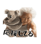 コアラとばばぁ  (毎日便利に使える返信)（個別スタンプ：15）