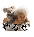 コアラとばばぁ  (毎日便利に使える返信)（個別スタンプ：16）