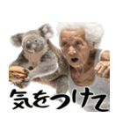 コアラとばばぁ  (毎日便利に使える返信)（個別スタンプ：21）