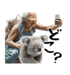 コアラとばばぁ  (毎日便利に使える返信)（個別スタンプ：22）