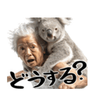 コアラとばばぁ  (毎日便利に使える返信)（個別スタンプ：23）