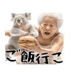 コアラとばばぁ  (毎日便利に使える返信)（個別スタンプ：24）