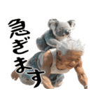 コアラとばばぁ  (毎日便利に使える返信)（個別スタンプ：25）