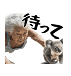 コアラとばばぁ  (毎日便利に使える返信)（個別スタンプ：26）