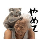 コアラとばばぁ  (毎日便利に使える返信)（個別スタンプ：28）