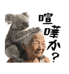 コアラとばばぁ  (毎日便利に使える返信)（個別スタンプ：30）