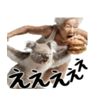 コアラとばばぁ  (毎日便利に使える返信)（個別スタンプ：35）