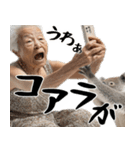 コアラとばばぁ  (毎日便利に使える返信)（個別スタンプ：37）