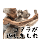 コアラとばばぁ  (毎日便利に使える返信)（個別スタンプ：38）