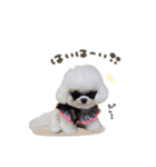 ぷにちゃん♡ひめちゃんmix（個別スタンプ：3）