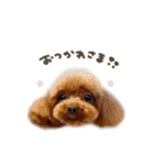 ぷにちゃん♡ひめちゃんmix（個別スタンプ：13）