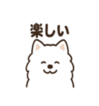 ふわふわサモエドの毎日スタンプ（個別スタンプ：3）