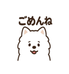 ふわふわサモエドの毎日スタンプ（個別スタンプ：6）