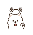 ふわふわサモエドの毎日スタンプ（個別スタンプ：9）