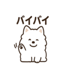 ふわふわサモエドの毎日スタンプ（個別スタンプ：11）