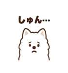 ふわふわサモエドの毎日スタンプ（個別スタンプ：12）