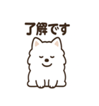 ふわふわサモエドの毎日スタンプ（個別スタンプ：13）