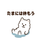 ふわふわサモエドの毎日スタンプ（個別スタンプ：18）