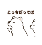 ふわふわサモエドの毎日スタンプ（個別スタンプ：21）