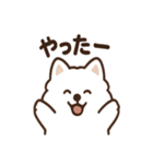 ふわふわサモエドの毎日スタンプ（個別スタンプ：23）