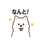 ふわふわサモエドの毎日スタンプ（個別スタンプ：28）