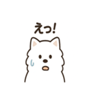 ふわふわサモエドの毎日スタンプ（個別スタンプ：32）