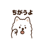 ふわふわサモエドの毎日スタンプ（個別スタンプ：37）