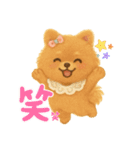 ポメラニアンのあずきともなか（個別スタンプ：13）