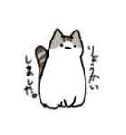 うちの2匹のにゃんこver2（個別スタンプ：6）