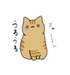 うちの2匹のにゃんこver2（個別スタンプ：24）