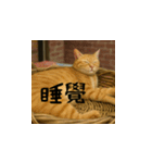 小花達と猫ライフ(台湾華語）（個別スタンプ：11）
