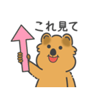癒しのスマイル クアッカさん [推し活]（個別スタンプ：23）