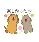 癒しのスマイル クアッカさん [推し活]（個別スタンプ：39）