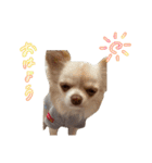ミックスこまめちくわ（個別スタンプ：1）