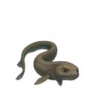 [アレンジ用]深海生物どう使う？（個別スタンプ：5）